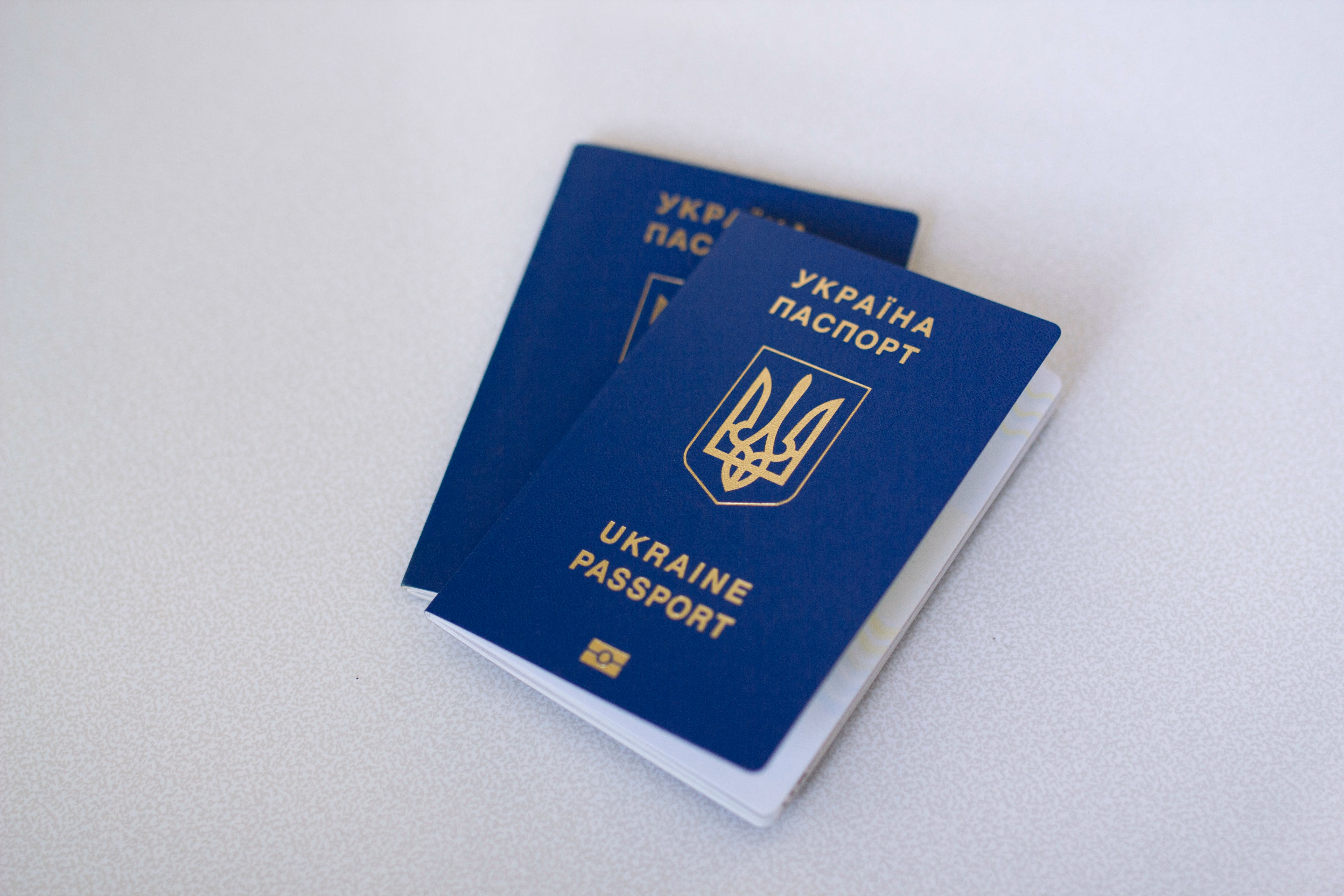Use Only Official Passport, Visa Websites, NIS Tells Nigerians, Foreigners